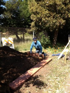 Doug raised bed